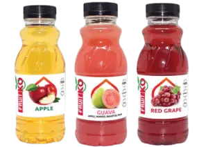 24 Pack FruitKO 100% Fruit Juice